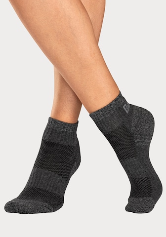 BENCH Athletic Socks in Beige