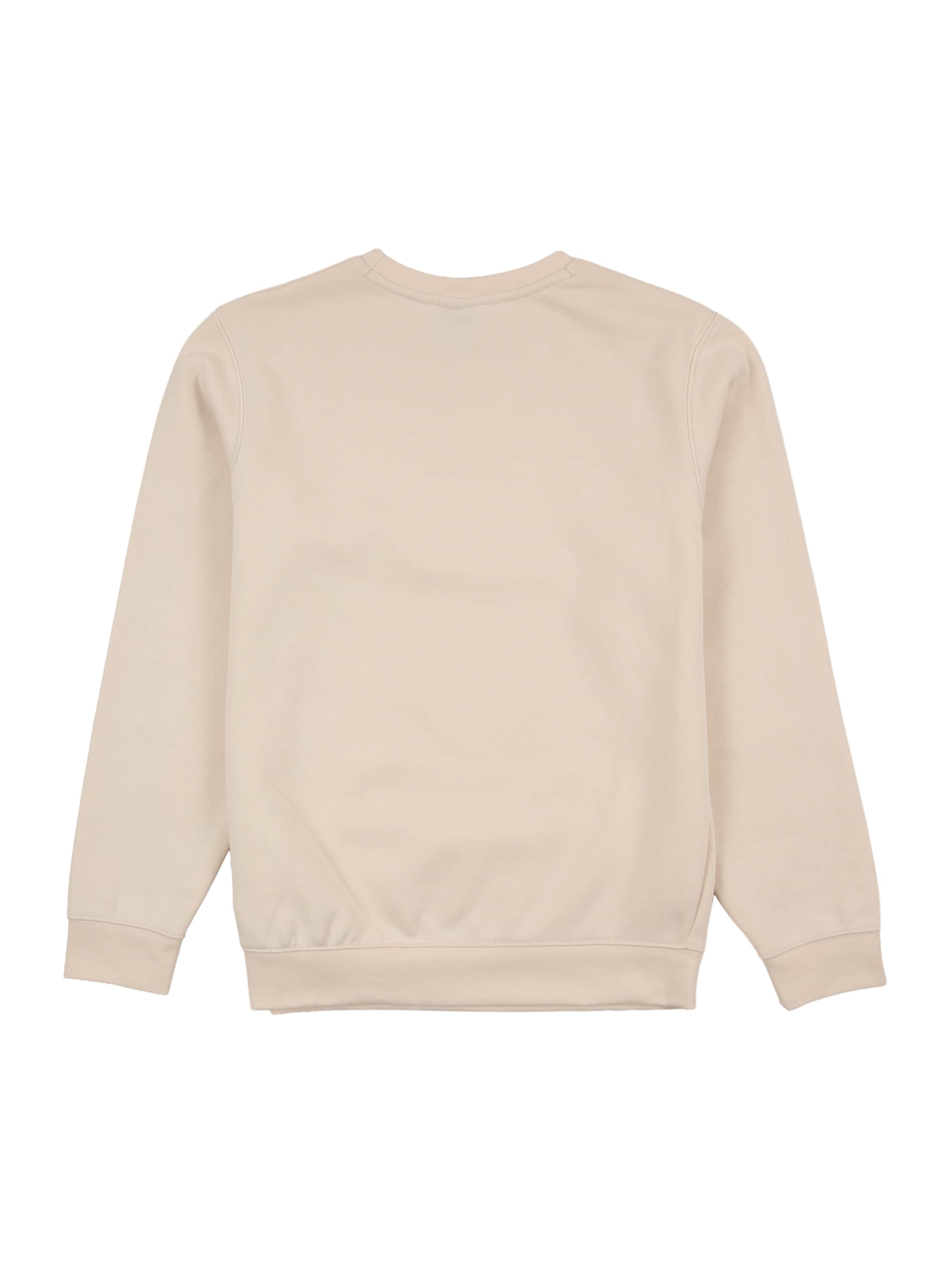 Jordan Sweatshirt 'BRKLN FLC' in Beige