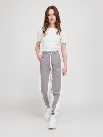 LYCATI exclusive for ABOUT YOU Regular Broek 'Frosty Earth' in Grijs