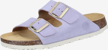 DR. BRINKMANN Mules 'BONILLO' in Purple: front