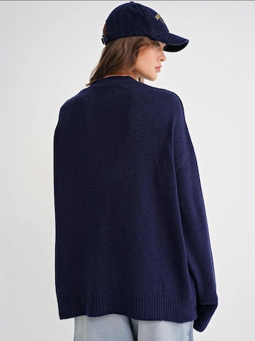 MixRay Trui in Blauw