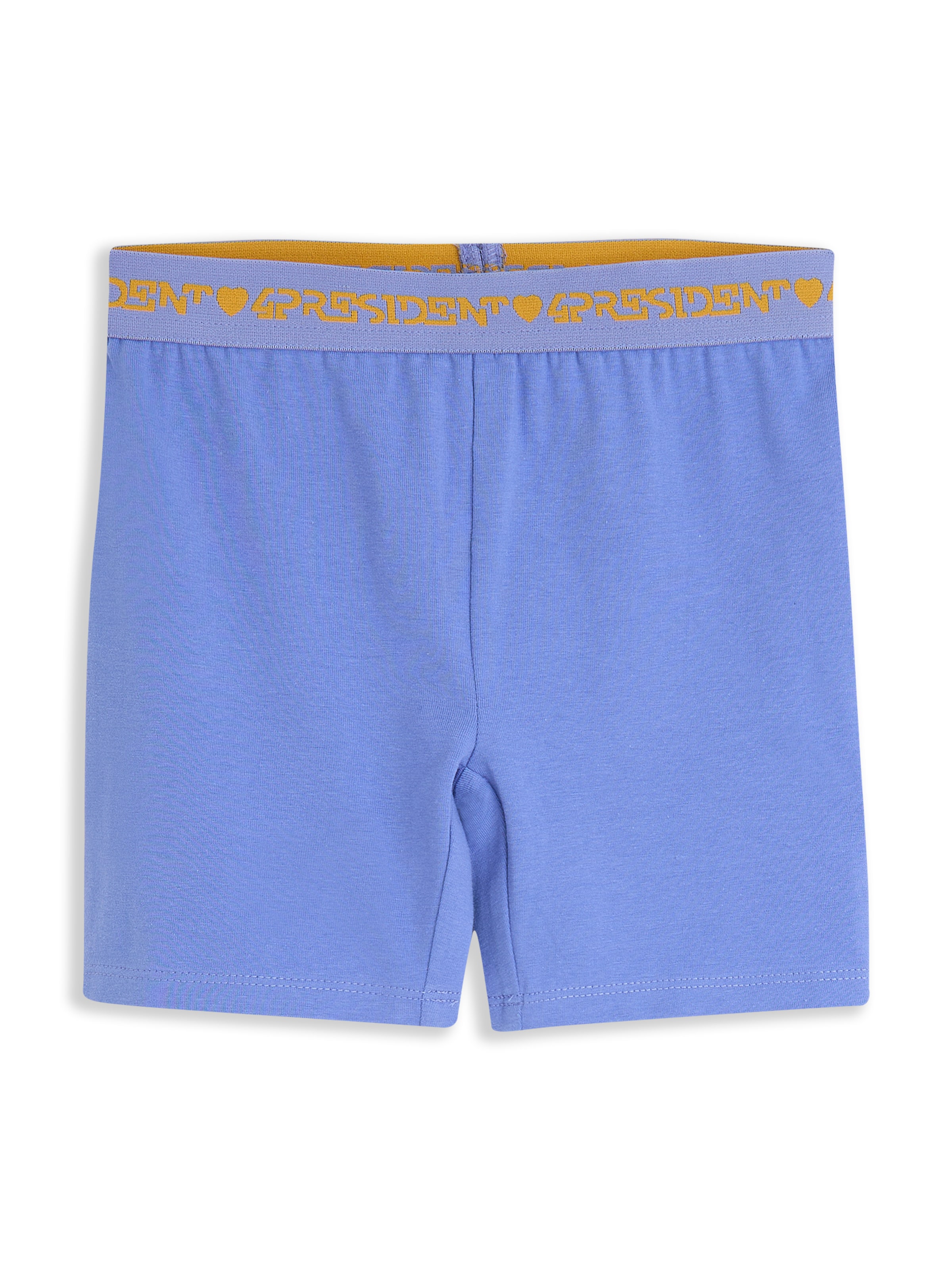 4PRESIDENT Regular Pants 'Nomi' in Blue: front