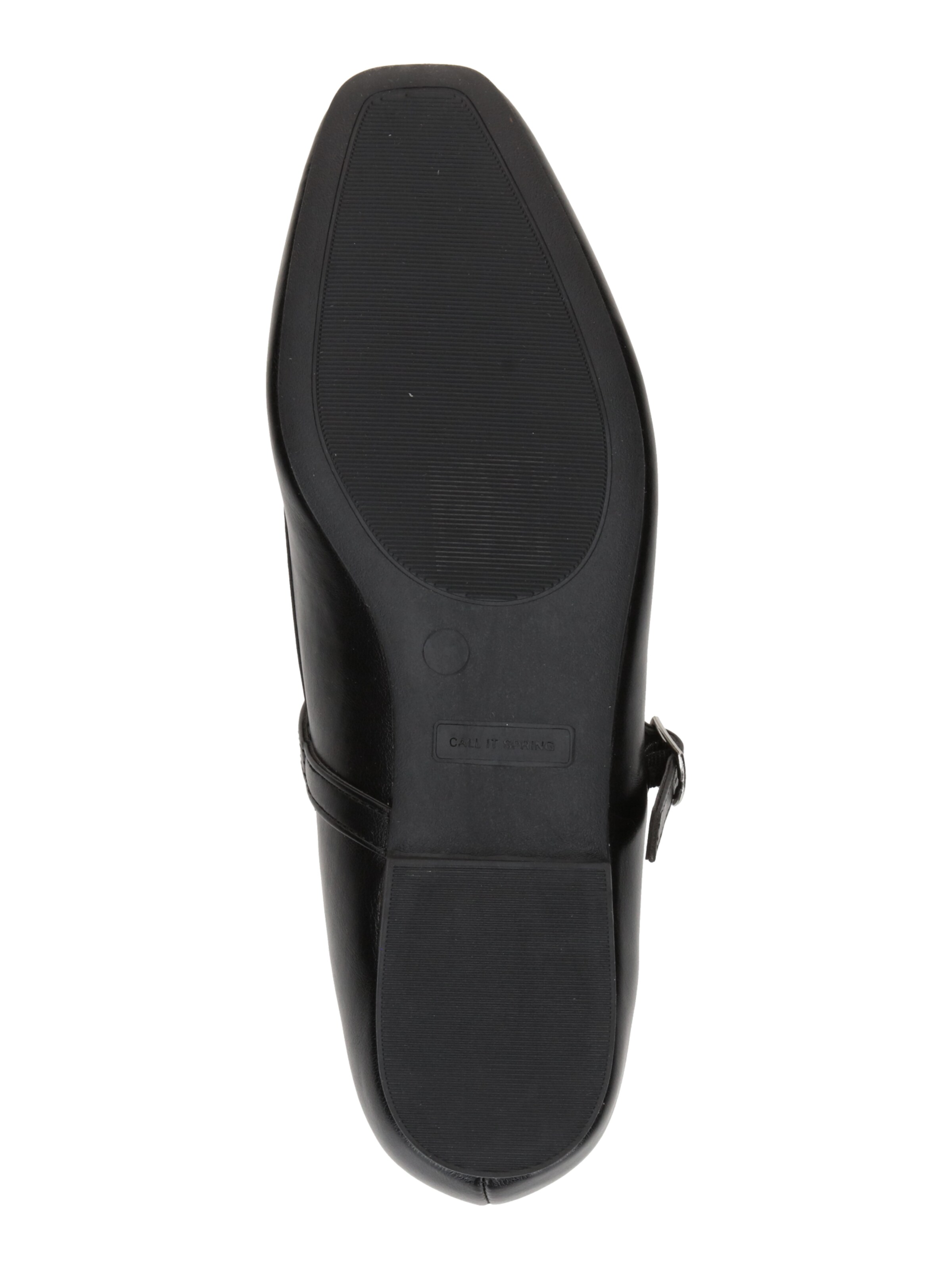 CALL IT SPRING Ballerinasko med rem 'JANEYY' i sort