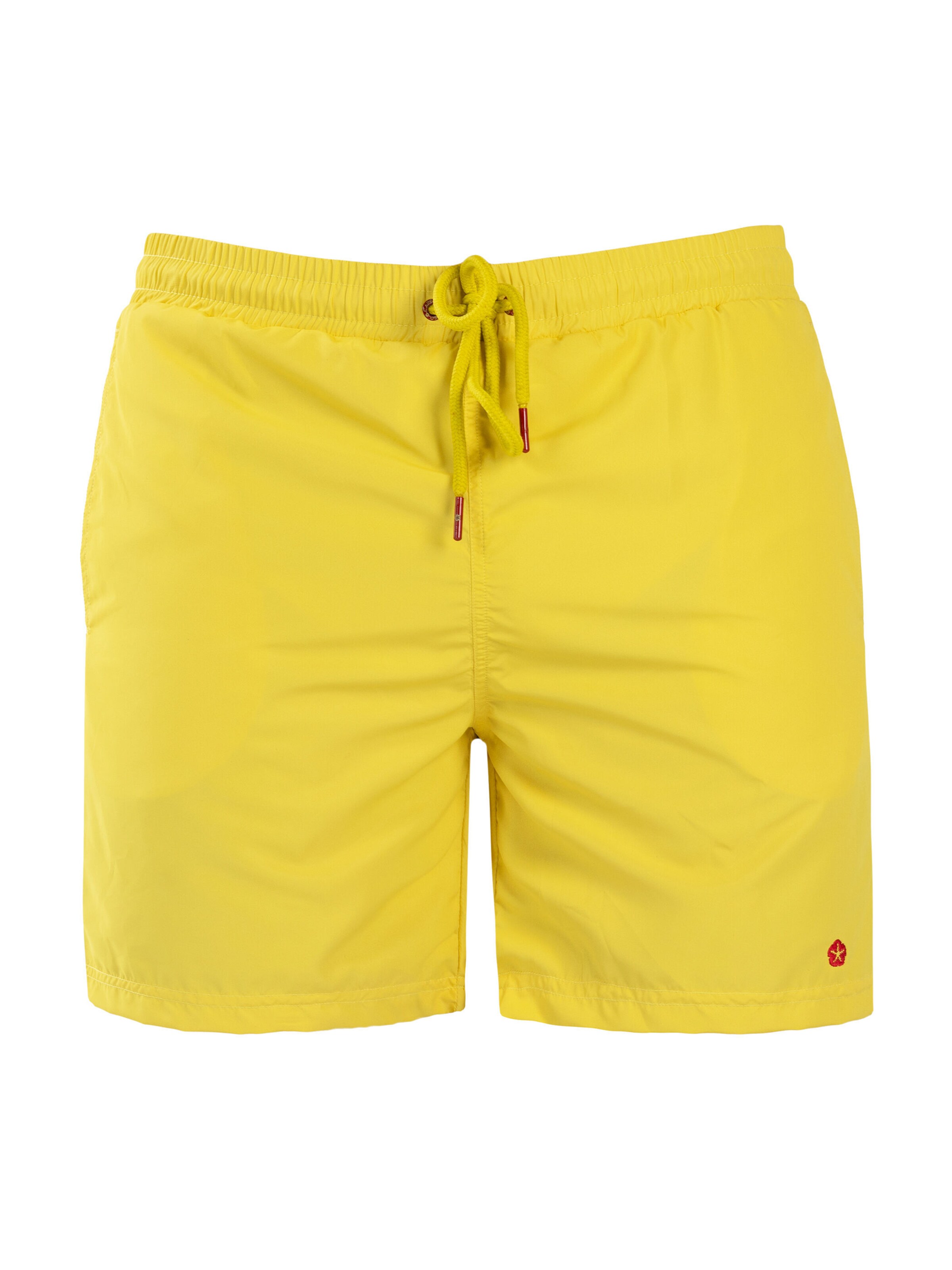 Frozen Cape Badeshorts FALCAO, Model trägt Größe L in Gelb: Vorderseite