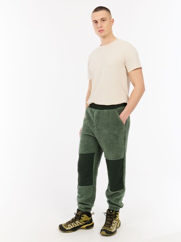 PROTEST Regular Hose 'PRTRisk' in Grün