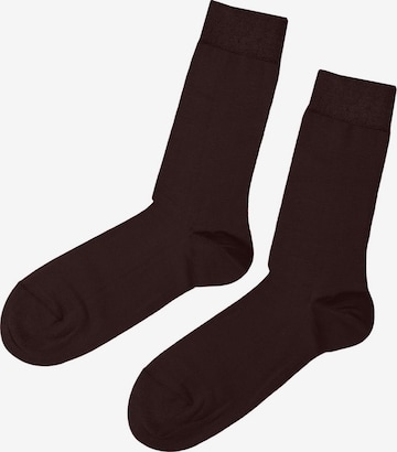 CALZEDONIA Socken in Braun: predná strana