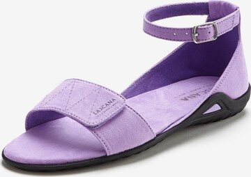 Sandales LASCANA en violet : devant