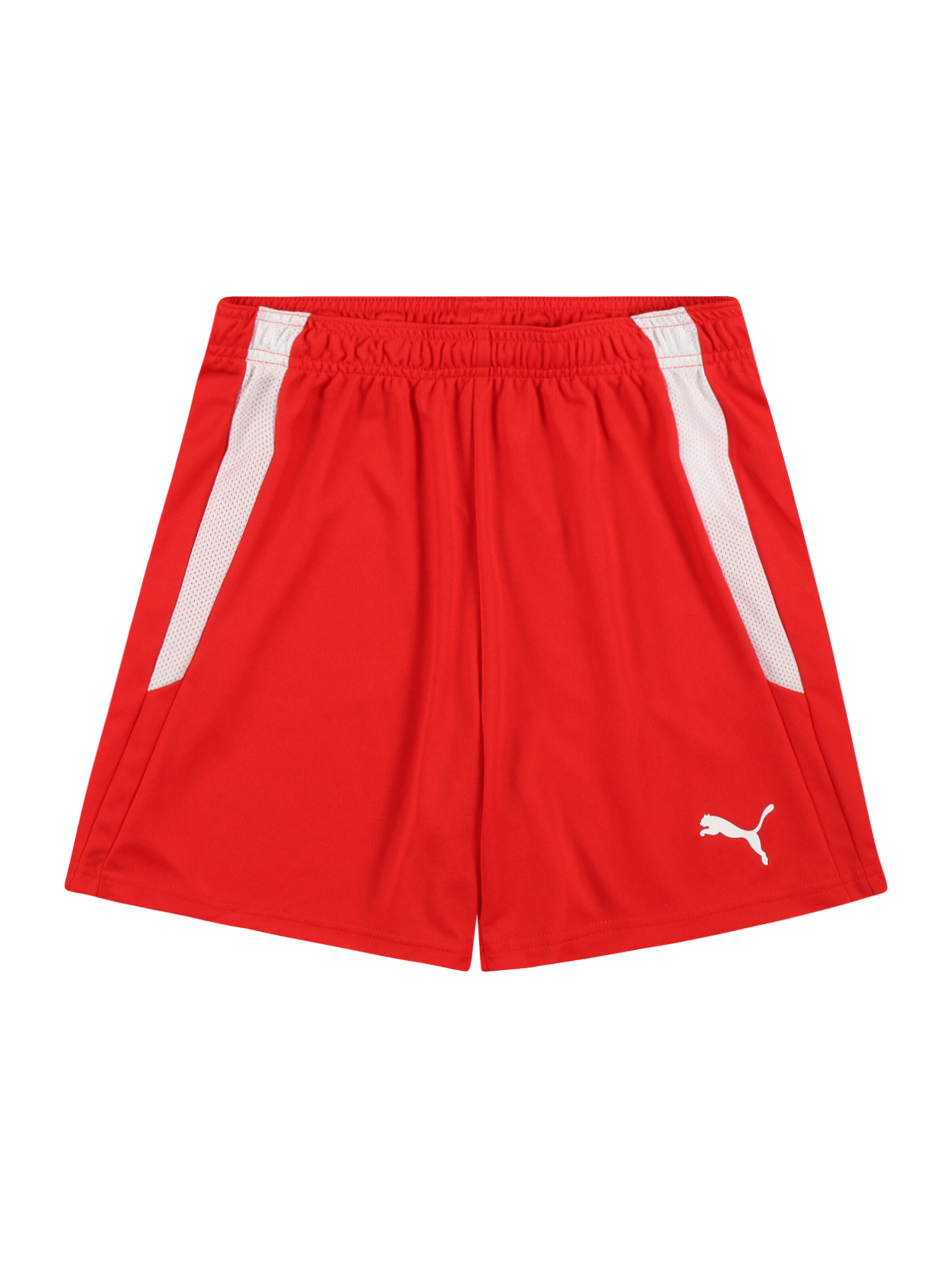 PUMA Sports trousers 'TeamLiga' in Red: front