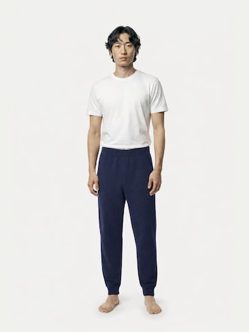 GOBI Cashmere Regular Sporthose 'Men's Cashmere Sweatpants' in Blau: Vorderseite
