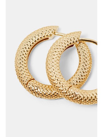 ESPRIT Ohrringe in Gold