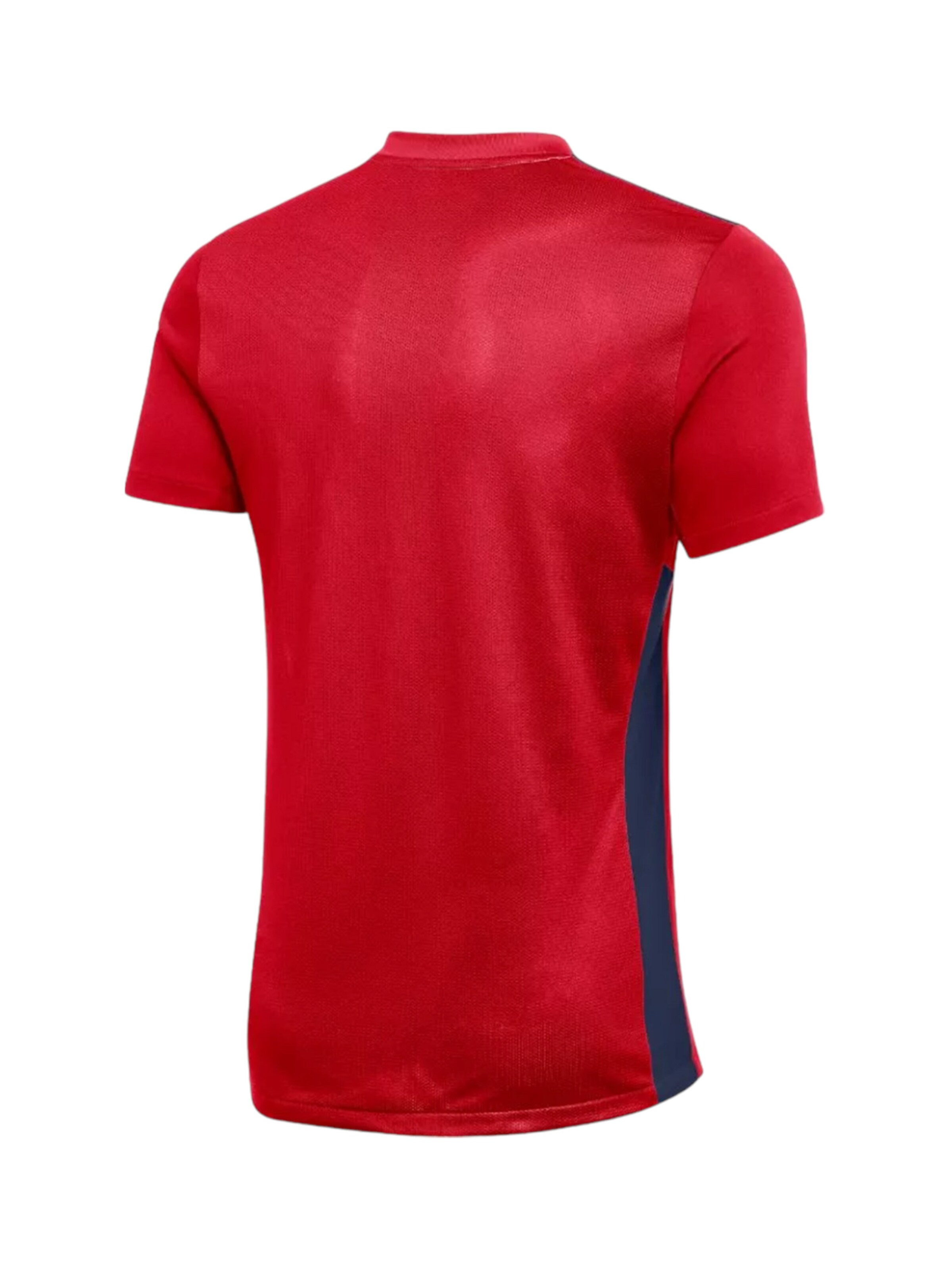 NIKE Funktionsshirt in Rot