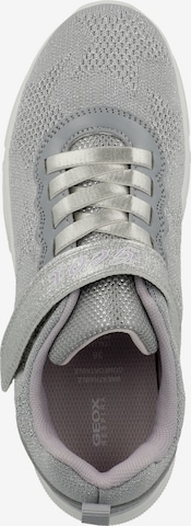 GEOX Sneaker 'Aril' in Grau