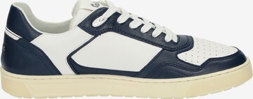 SIOUX Sneakers laag 'Tedroso' in Blauw