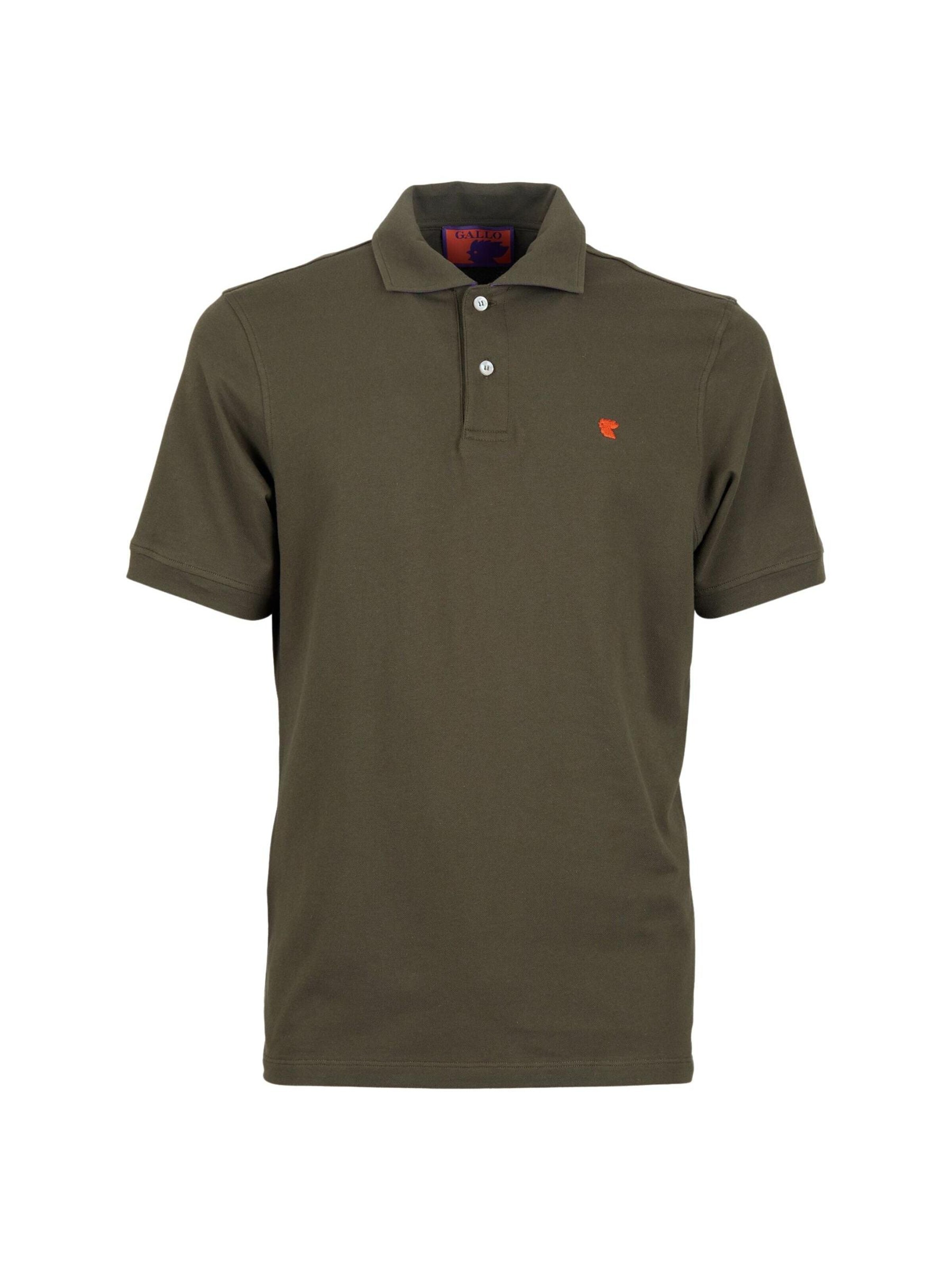 Gallo Shirt 'BASIC' in Green: front