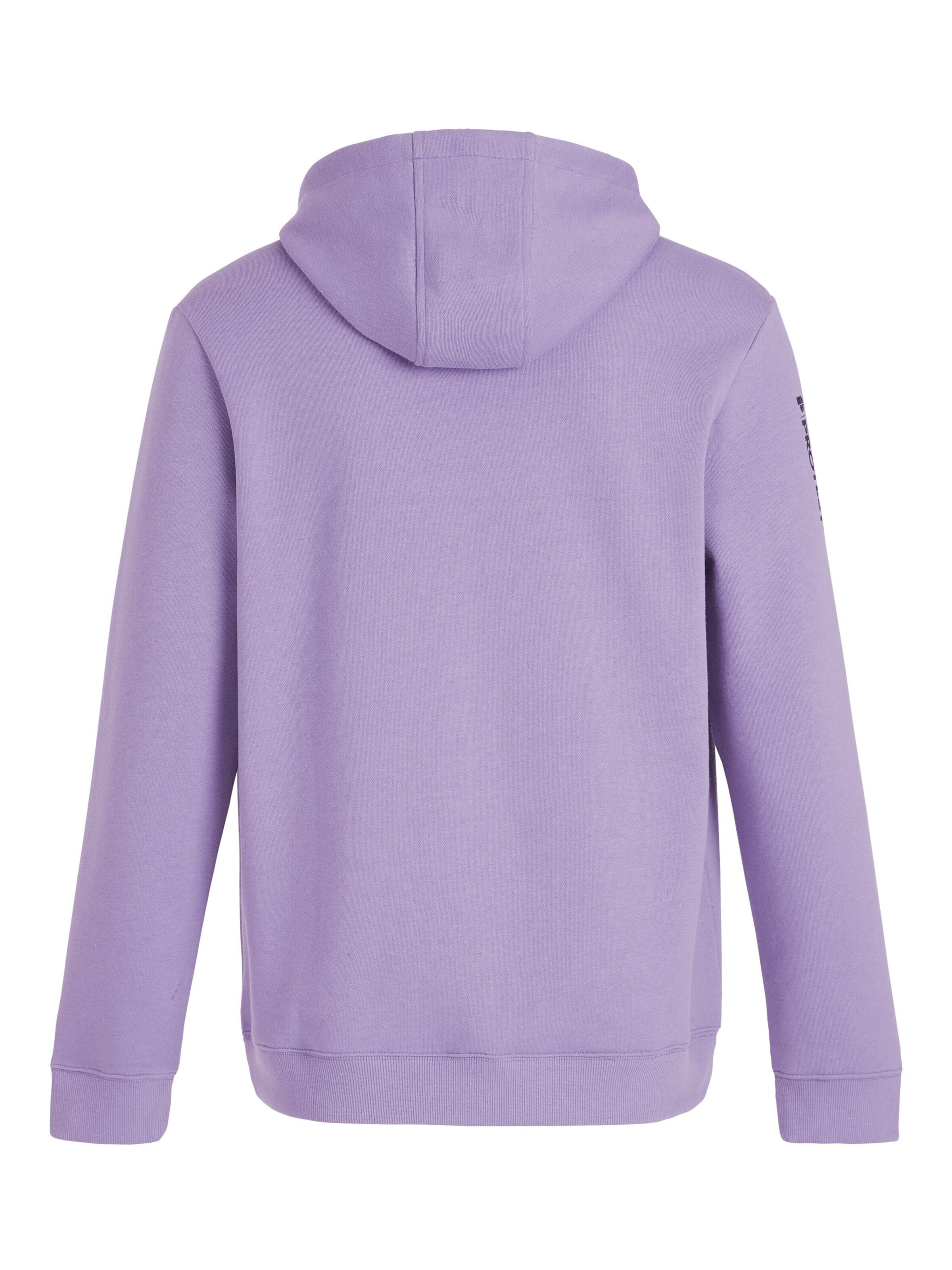 Pull-over 'CLASSIC LOGO HOODY' PROTEST en violet