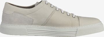 CAMEL ACTIVE Sneakers in White