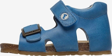 Falcotto Offene Schuhe 'BEA' in Blau: Vorderseite