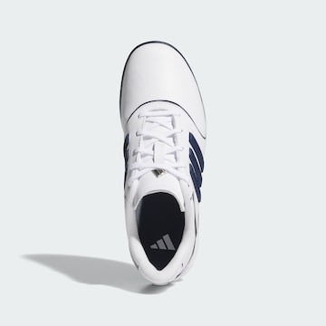 ADIDAS PERFORMANCE Sportschuh 'Alphaflex Zoysia' in Weiß