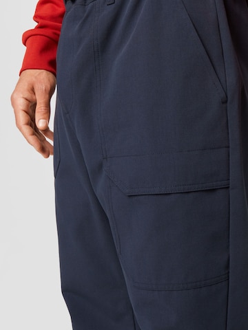 Regular Pantaloni outdoor de la JACK WOLFSKIN pe albastru