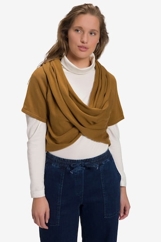 Ulla Popken Sweater in Brown: front