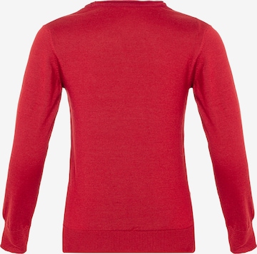 CIPO & BAXX Strickpullover in Rot