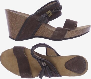 SCHOLL Sandals & High-Heeled Sandals in 41 in Brown: front