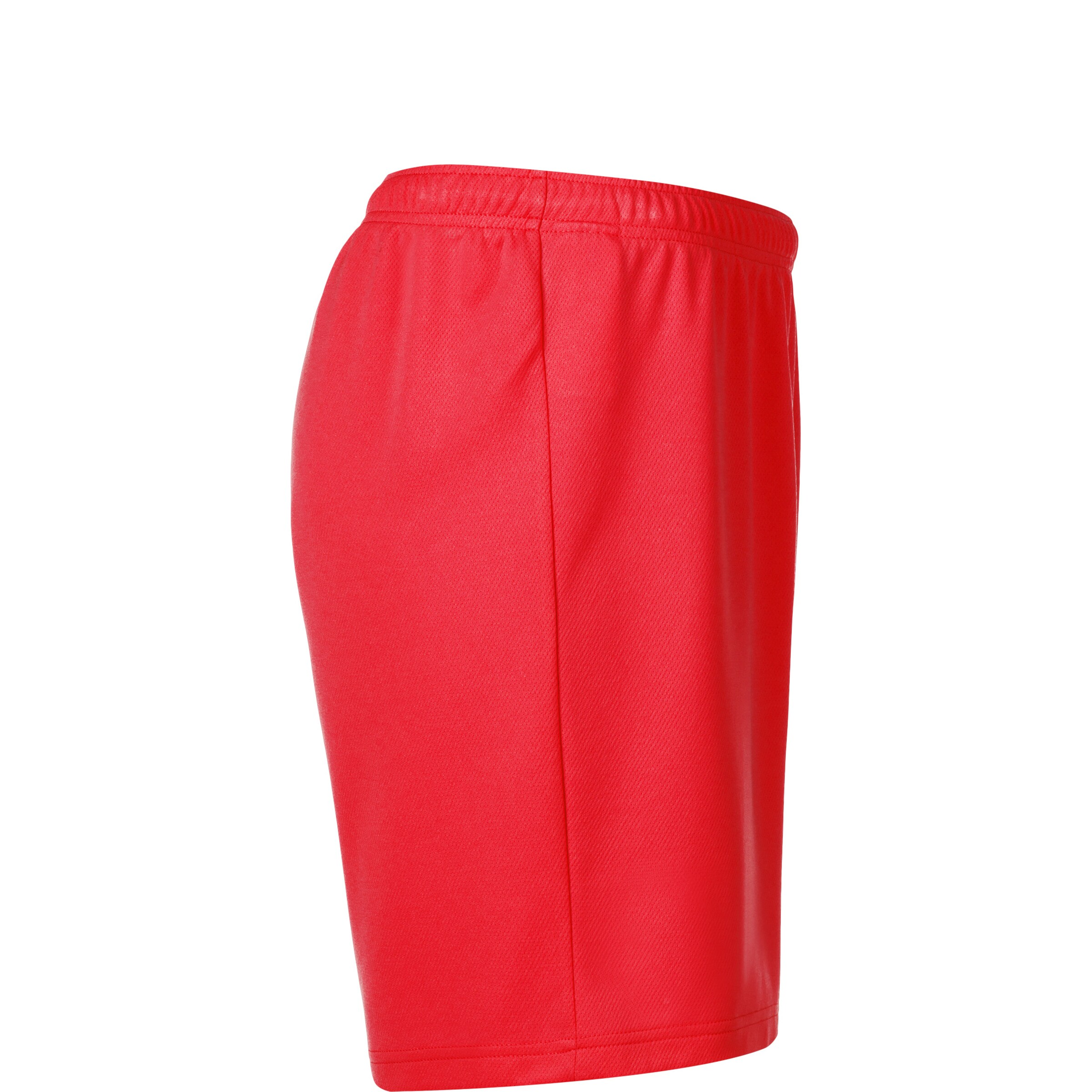 Regular Pantalon de sport 'TeamRise' PUMA en rouge