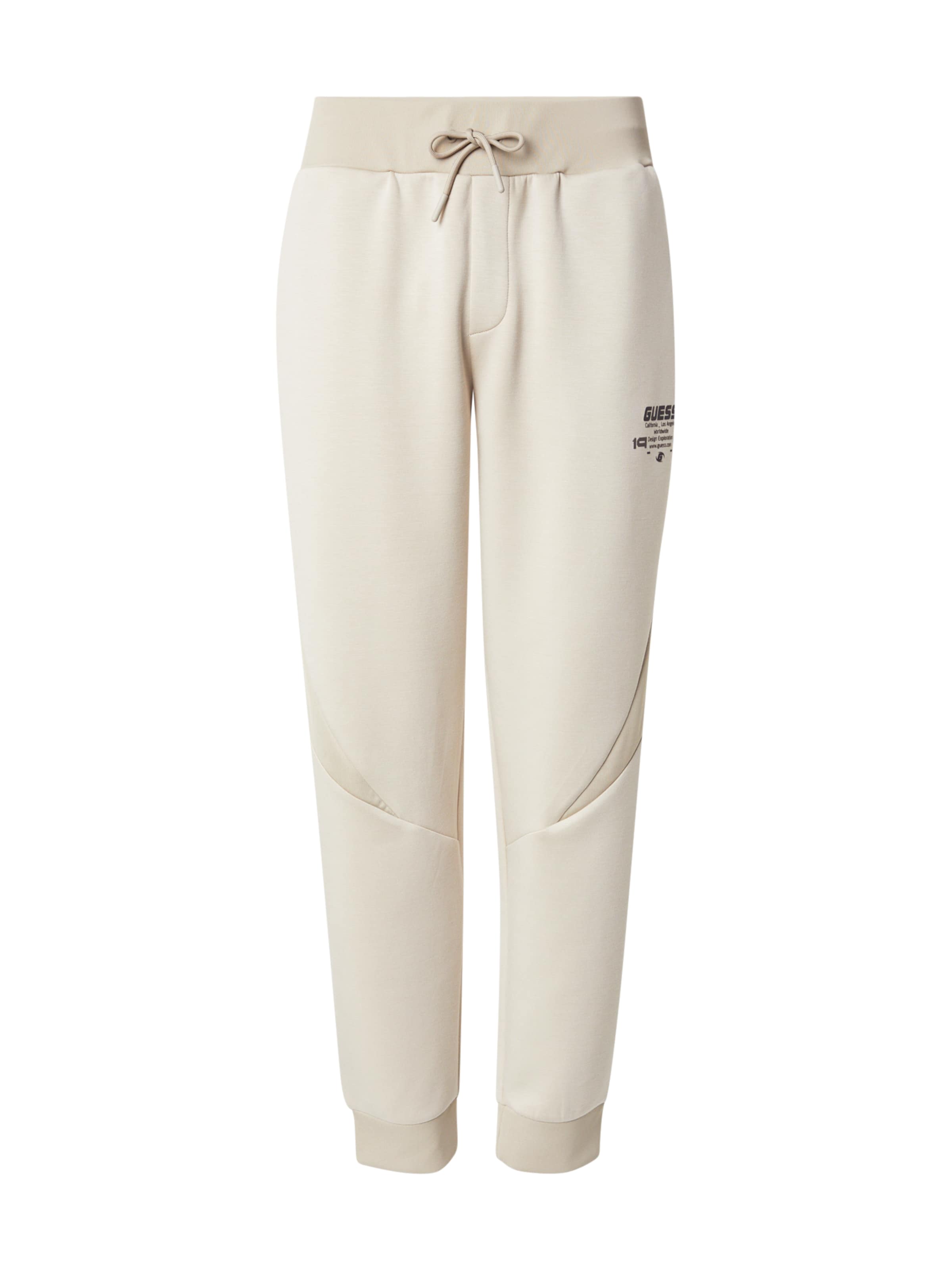 GUESS Zúžený strih Športové nohavice 'RYOTA' - Hnedá: predná strana