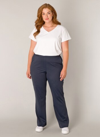 BASE LEVEL CURVY Flared Pants in Blue