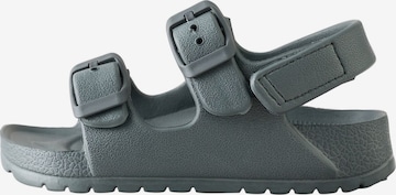 pilka Next Atviri batai: priekis