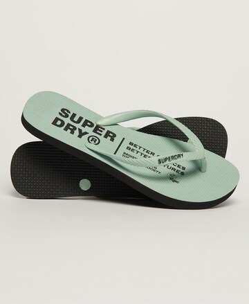 Tongs Superdry en vert