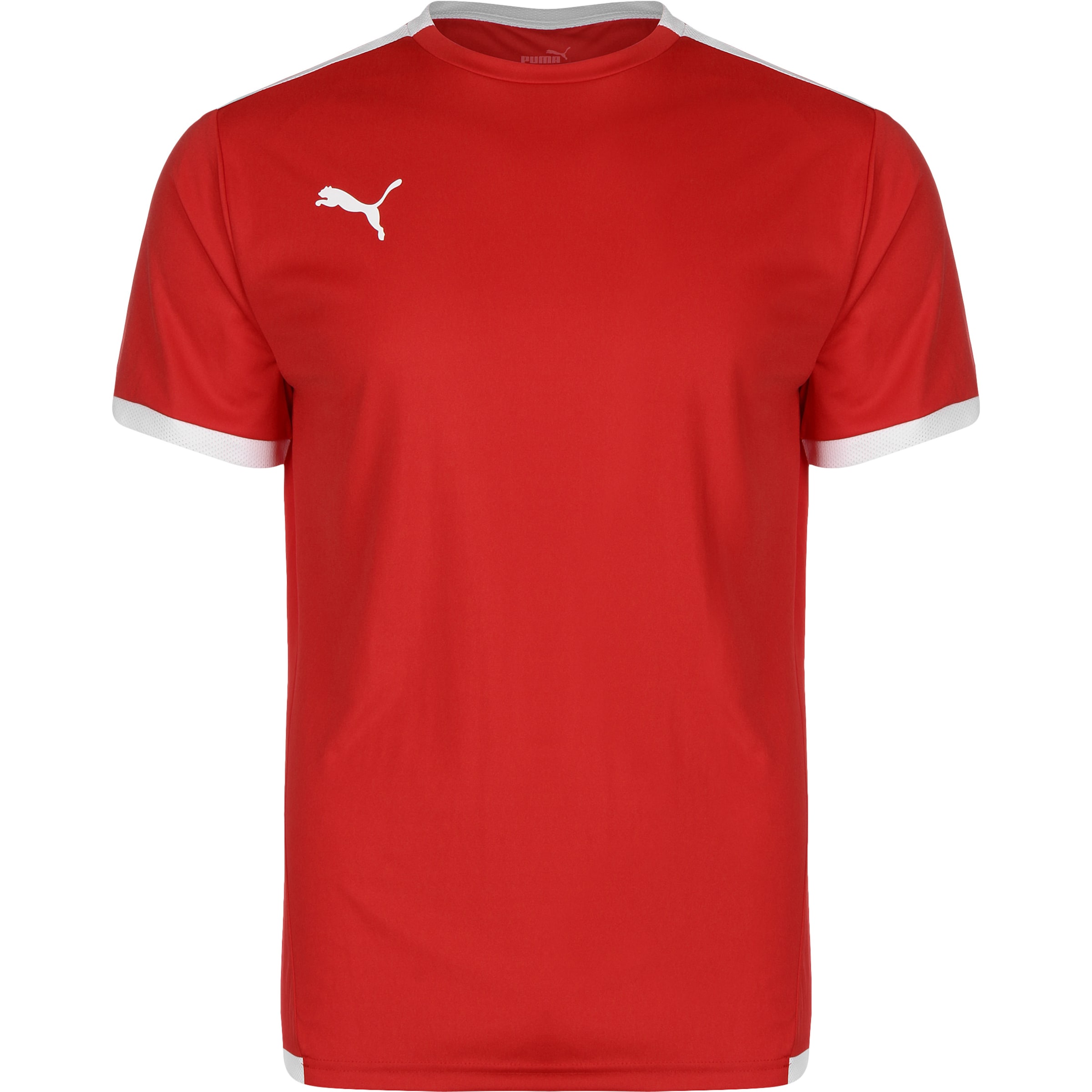 PUMA Performance Shirt 'TeamLiga' in Red: front
