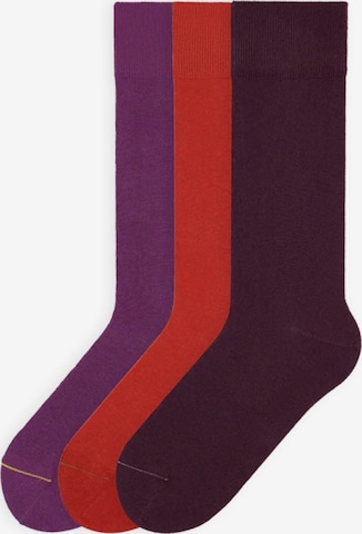 Von Jungfeld Socks 'SIGNATURE Set' in Red: front