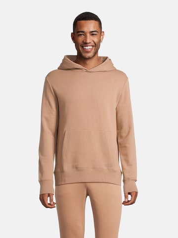 AÉROPOSTALE Sweatshirt i brun: framsida