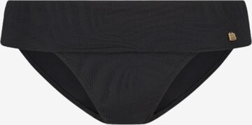 Beachlife Bikini Bottoms in Black: front