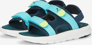 Claquettes / Tongs 'Evolve' PUMA en bleu