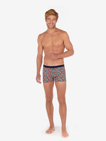 HOM Boxer shorts 'Turbie Comfort' in Blue: front