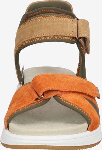 ARA Sandalen met riem in Bruin