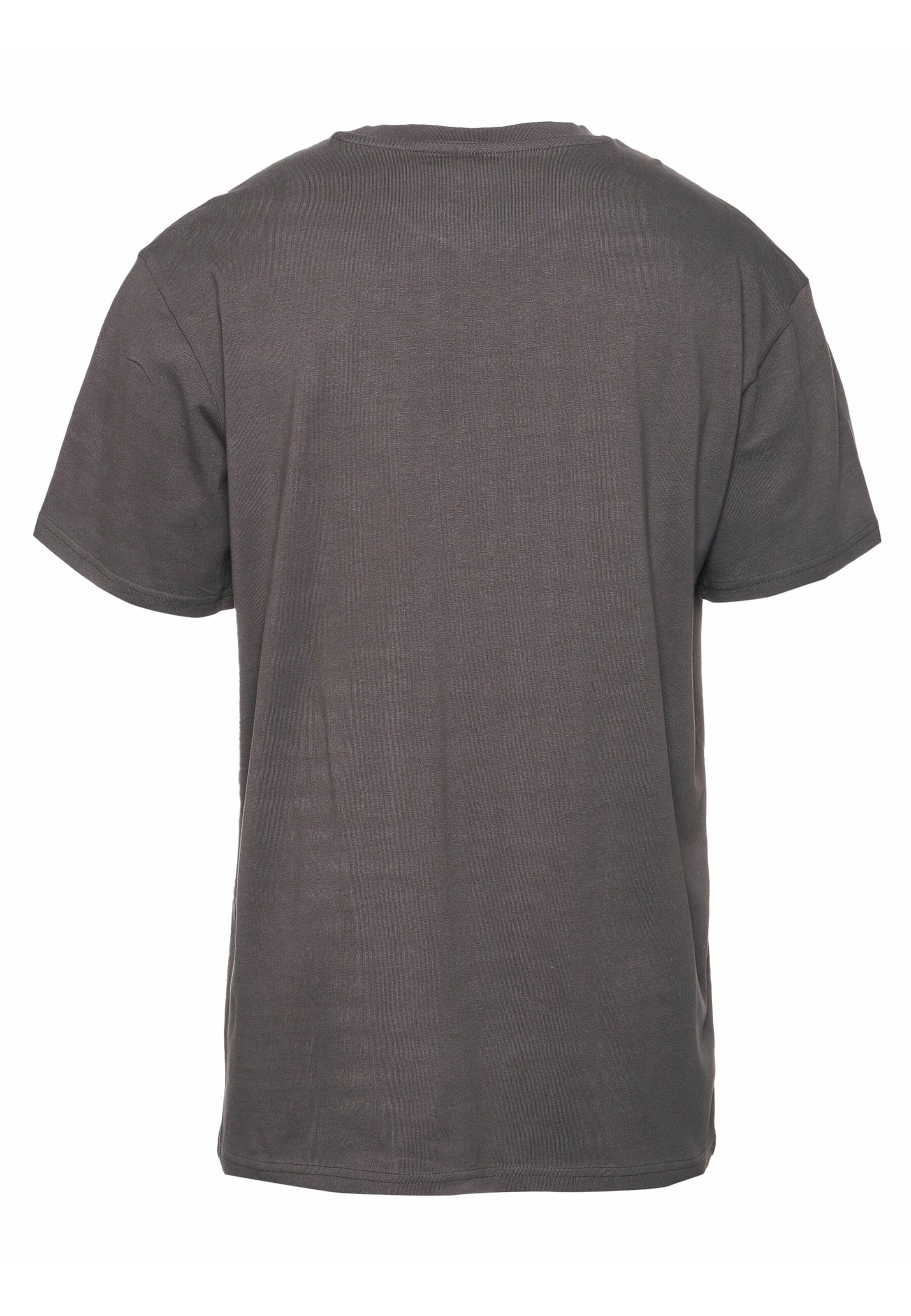 T-Shirt Dangerous DNGRS en gris