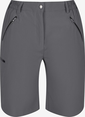 REGATTA Outdoor Pants 'Xert it' in Grey: front