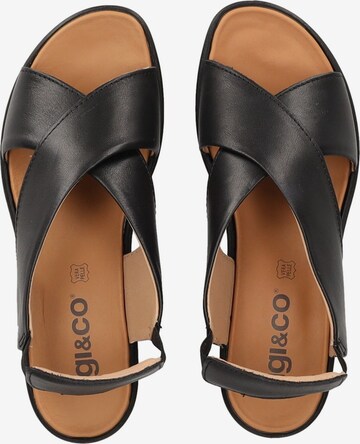 IGI&CO Sandals in Black