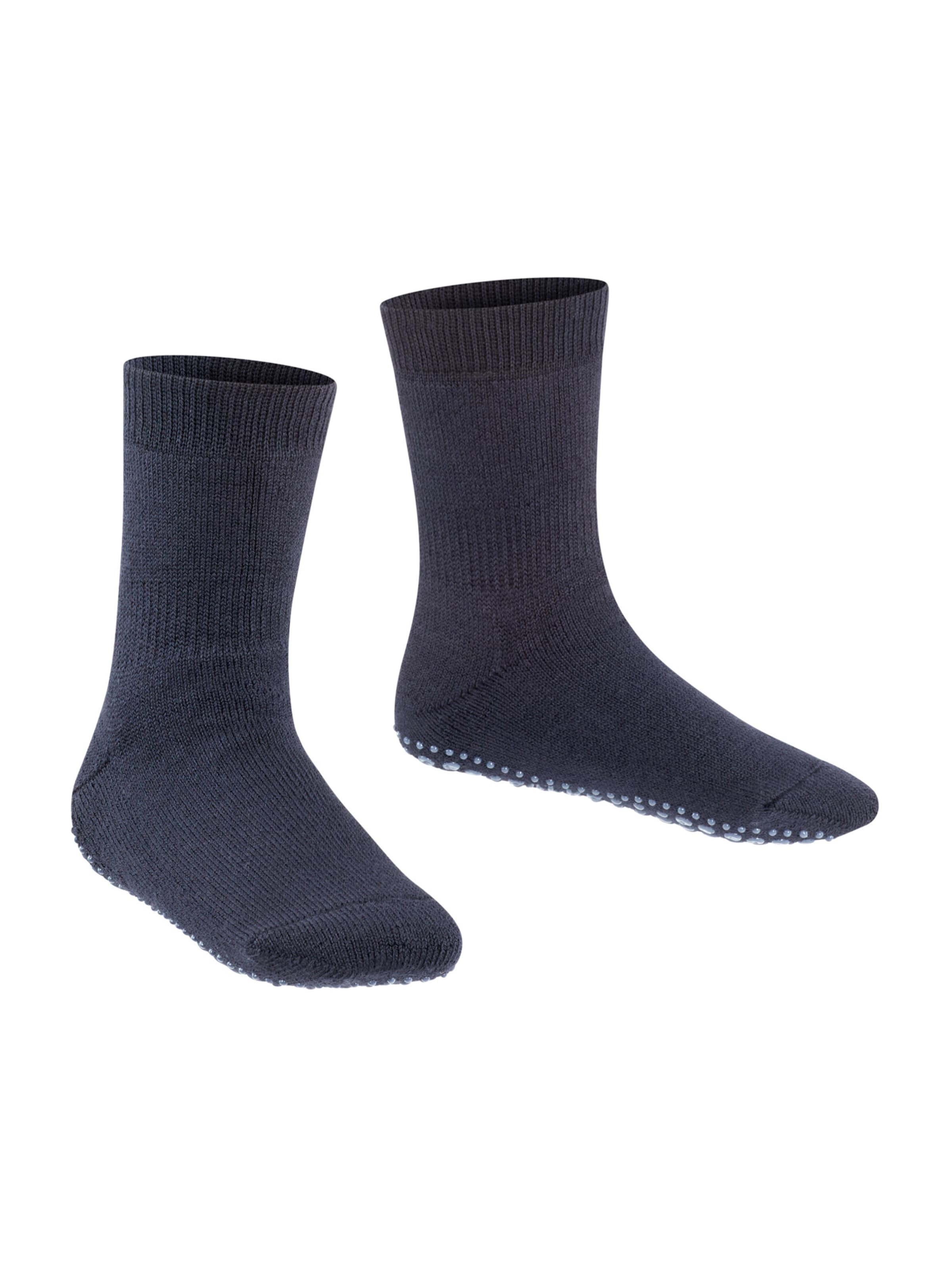 FALKE Socken in Blau: Vorderseite