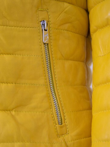 Jilani Between-Season Jacket 'Kova' in Yellow