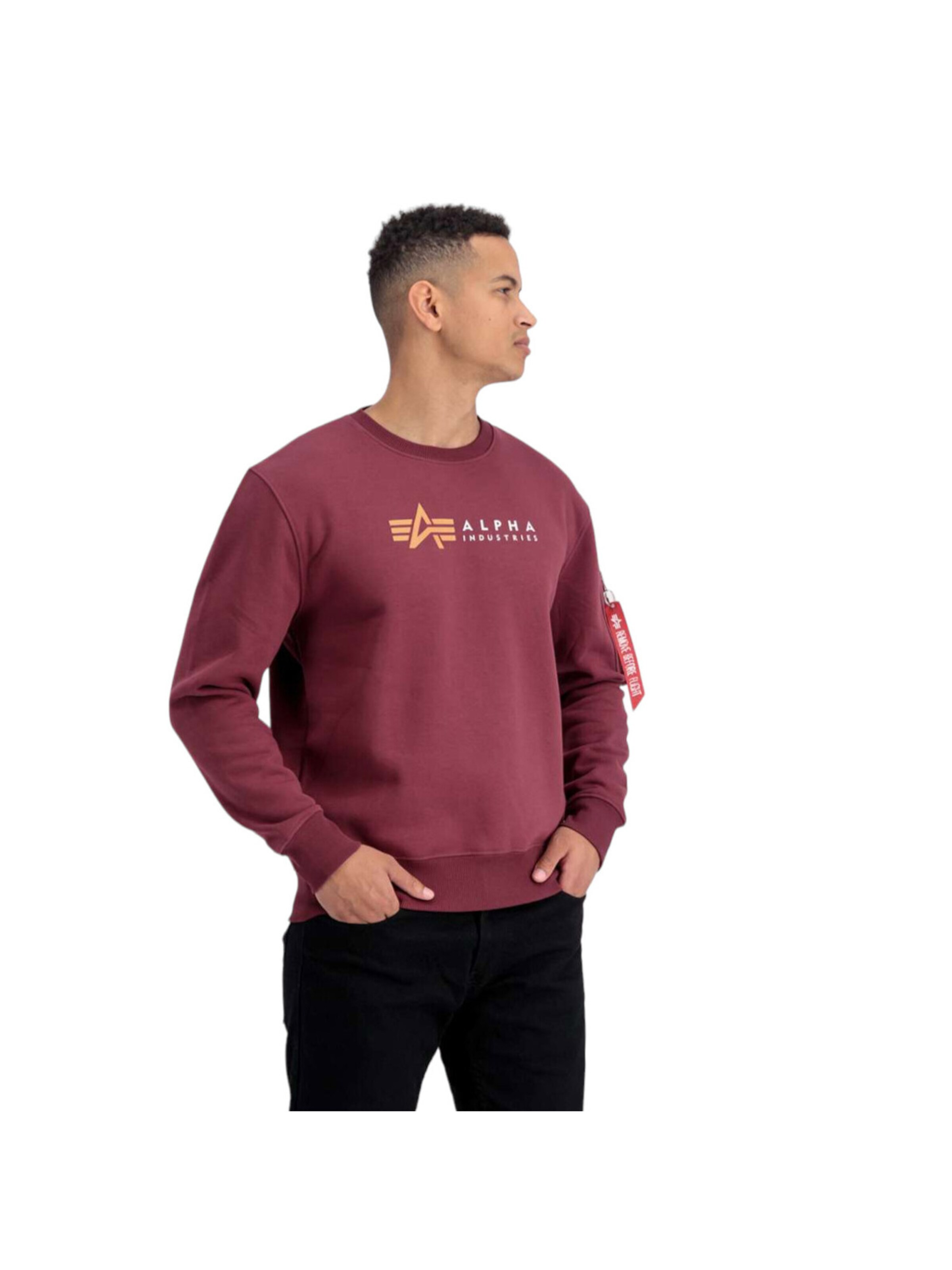 ALPHA INDUSTRIES Sweatshirt 'Alpha Label' in Red