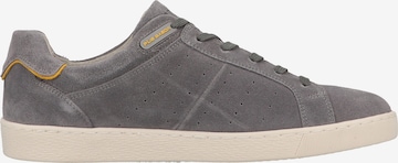 Pius Gabor Sneaker in Grau