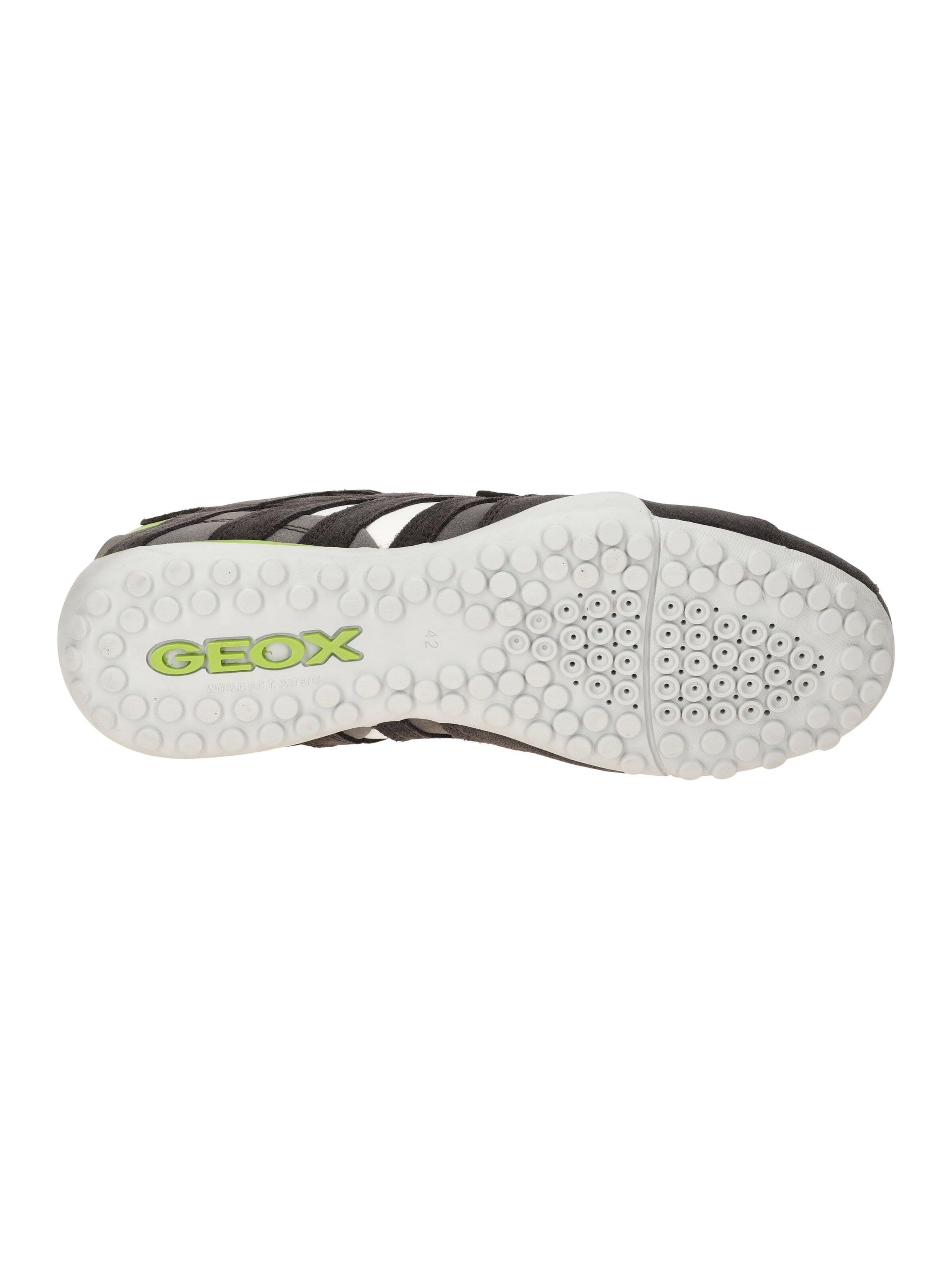 GEOX Slip On 'Snake'‌‌‌‌‌‌ in Grau