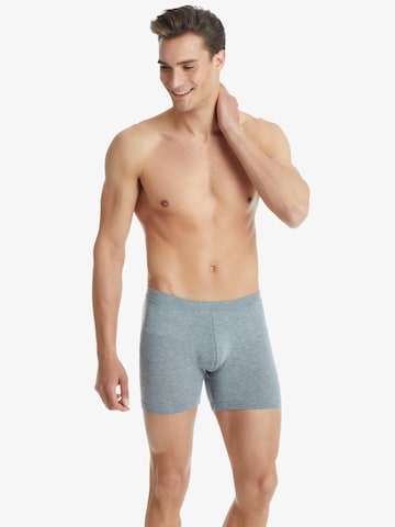 Boxers Blackspade en gris