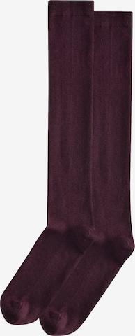Chaussettes Next en rouge : devant