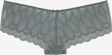 Panty di LASCANA in grigio: frontale