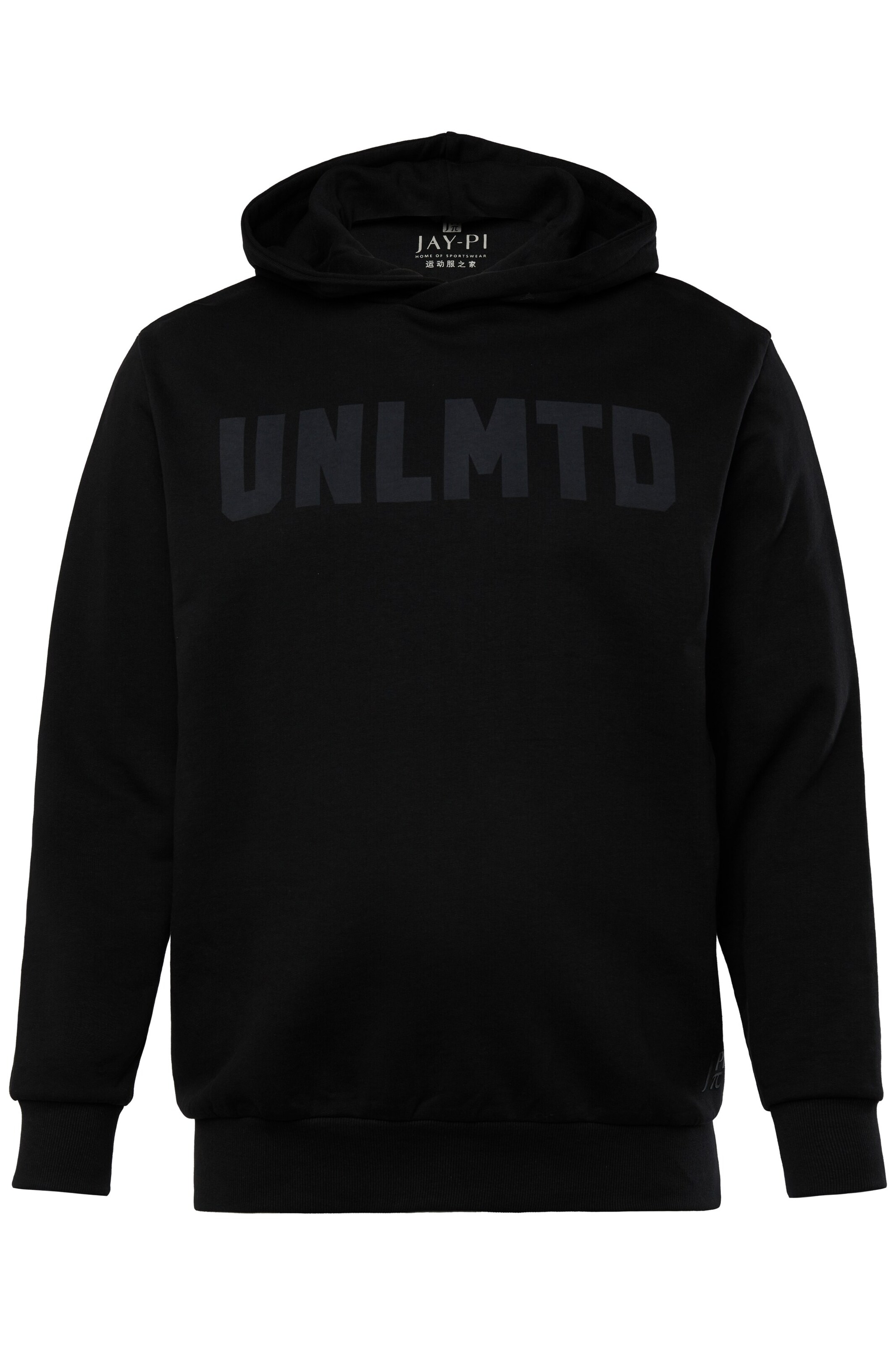 JAY-PI Sweatshirt in Schwarz: Vorderseite